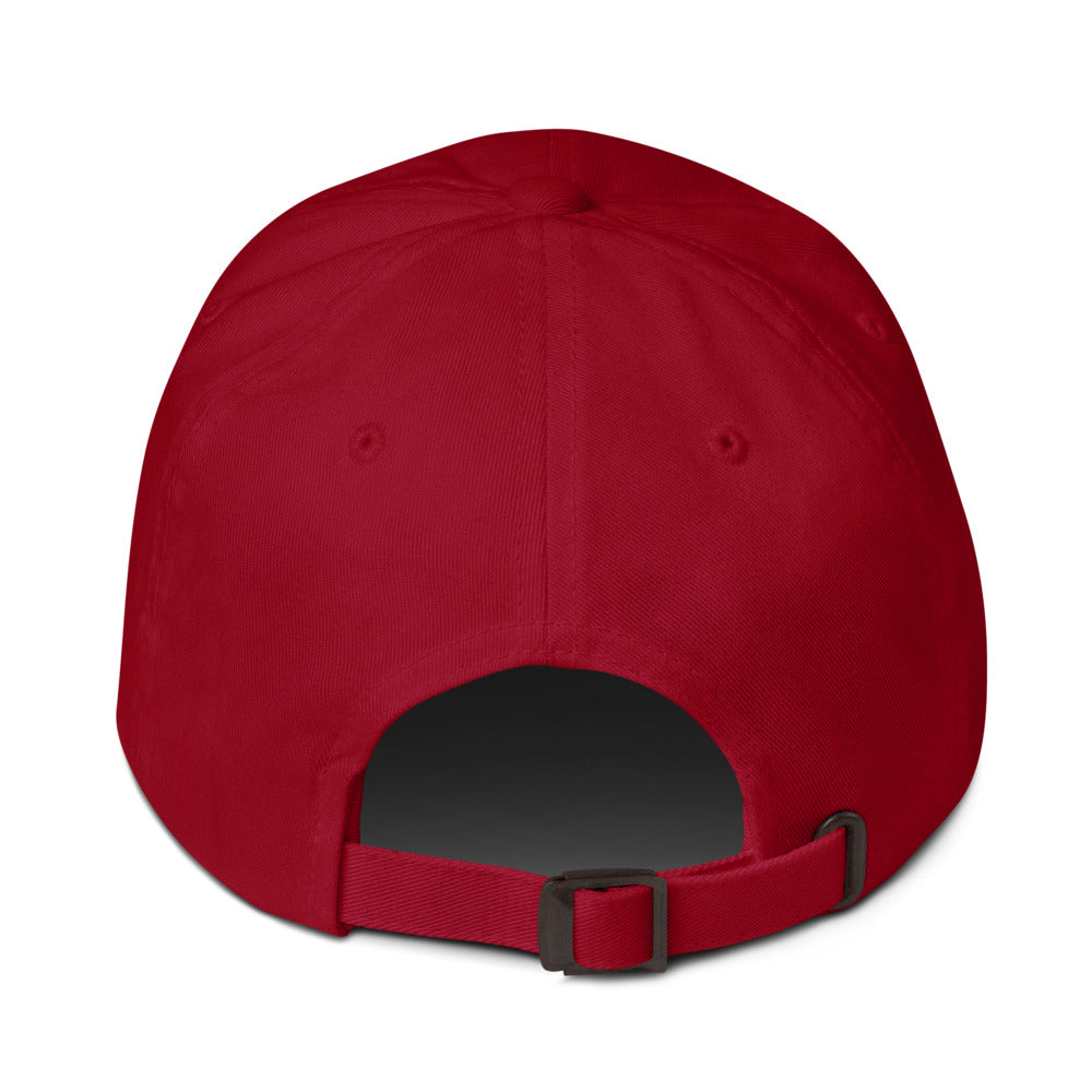 The Cat in the Hat I Know Things Dad Hat