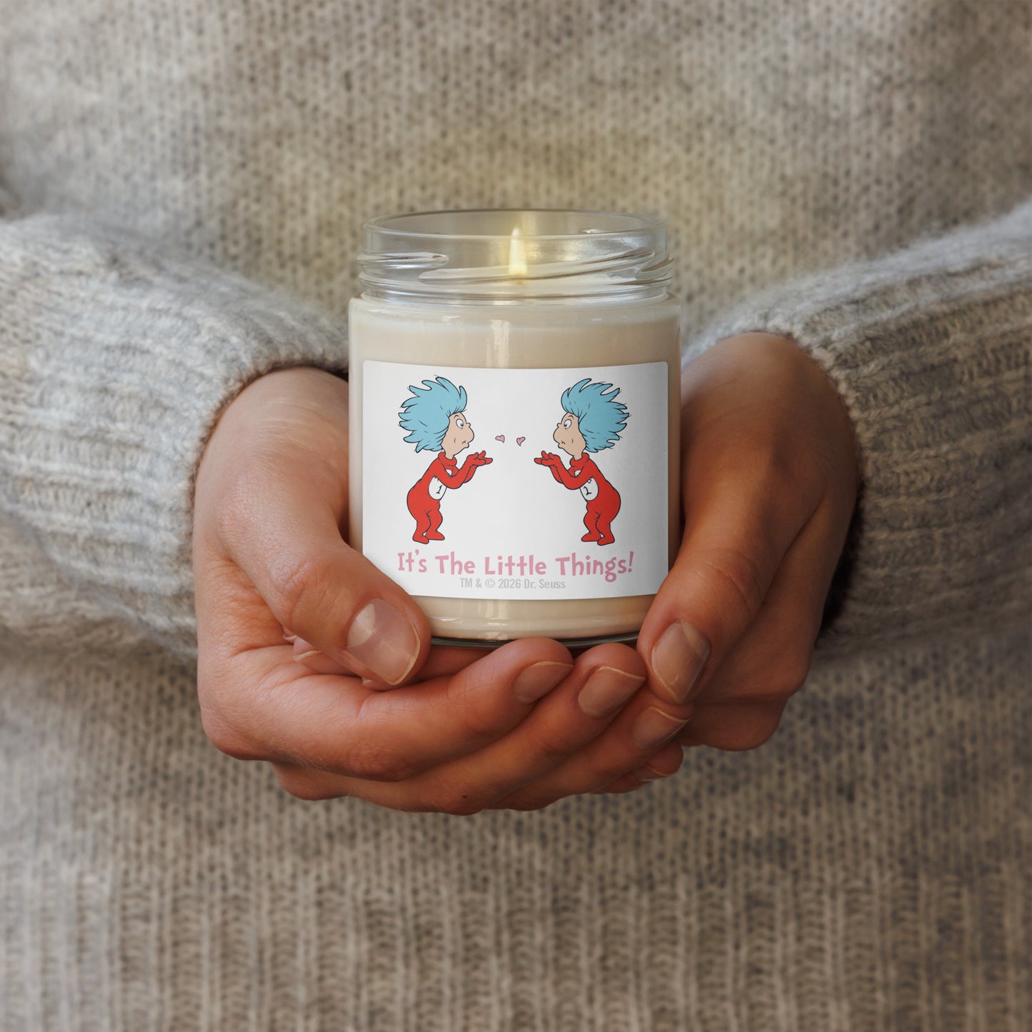 The Cat In The Hat Candle It’s The Small Things