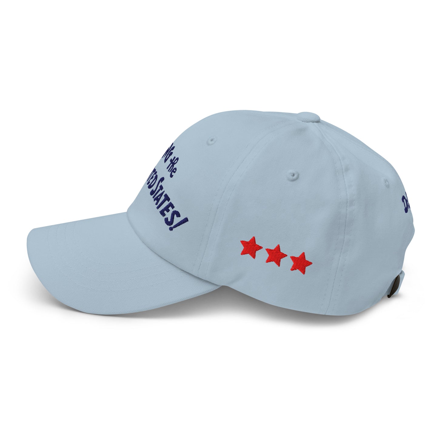 The Cat in The Hat Embroidered Hat Sing the 50 States