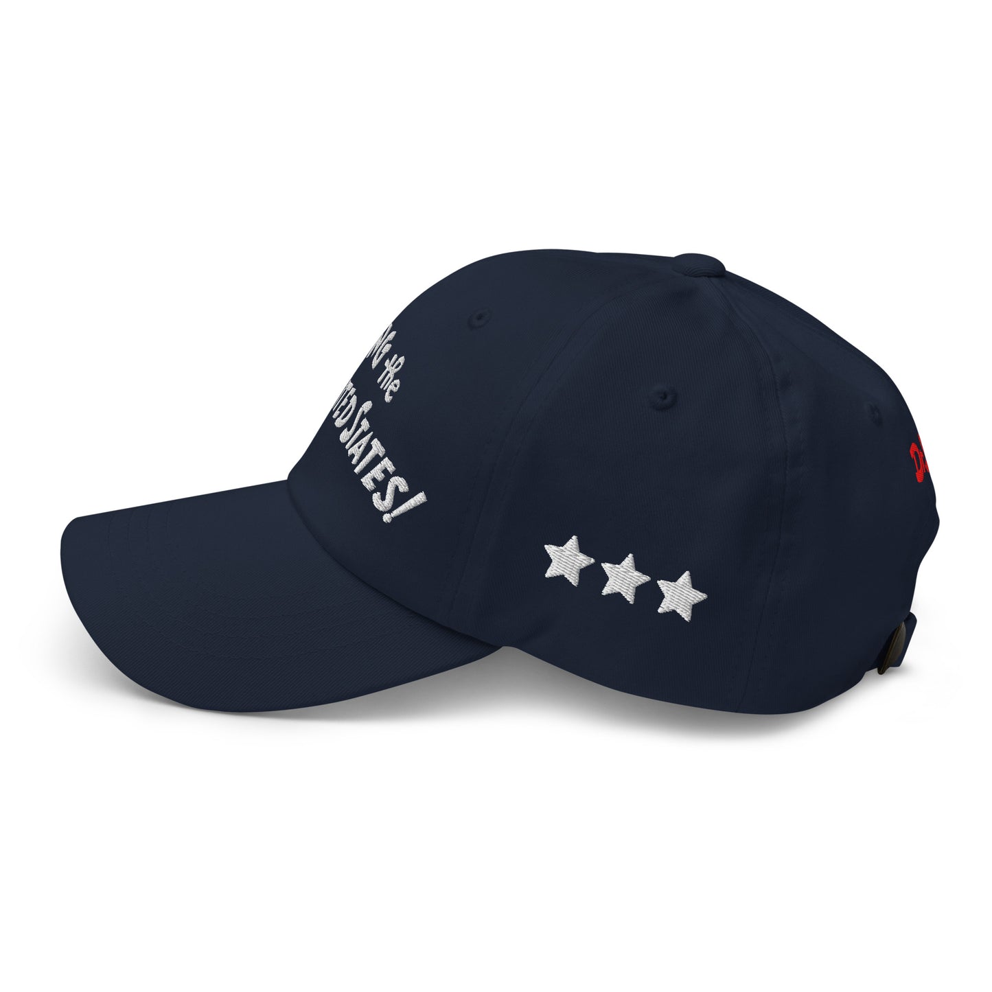 The Cat in The Hat Embroidered Hat Sing the 50 States
