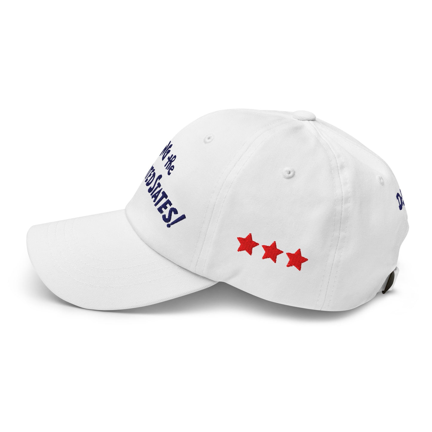 The Cat in The Hat Embroidered Hat Sing the 50 States