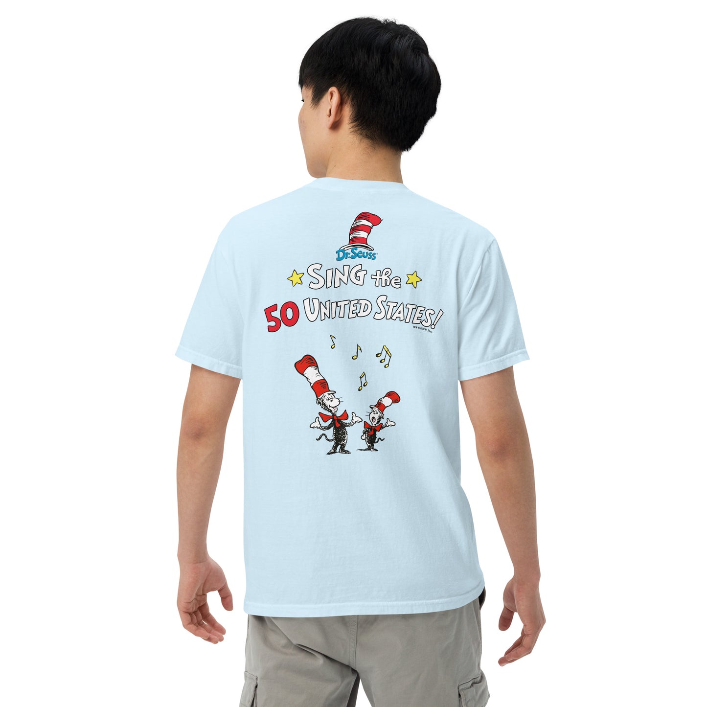 The Cat in The Hat Comfort Colors T-Shirt Sing the 50 States