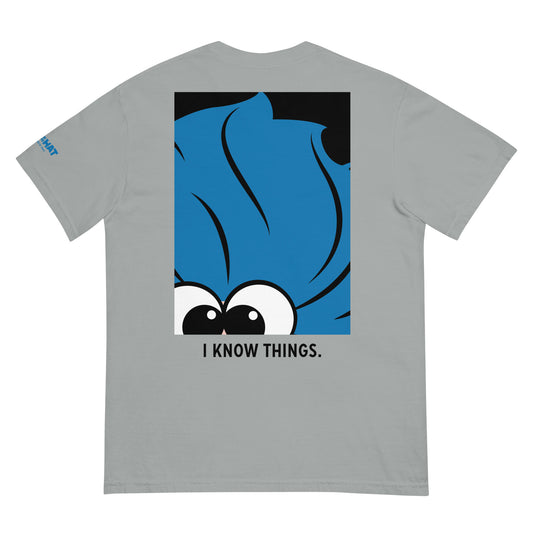 The cat in the hat t-shirt i know things - grey