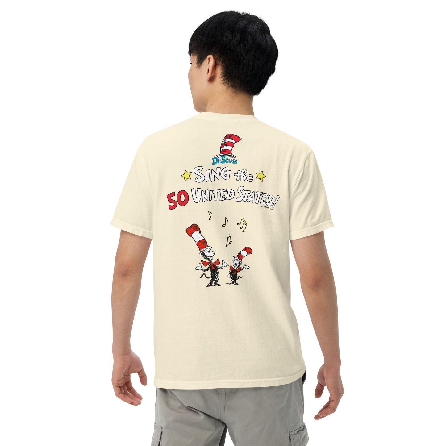 The Cat in The Hat Comfort Colors T-Shirt Sing the 50 States