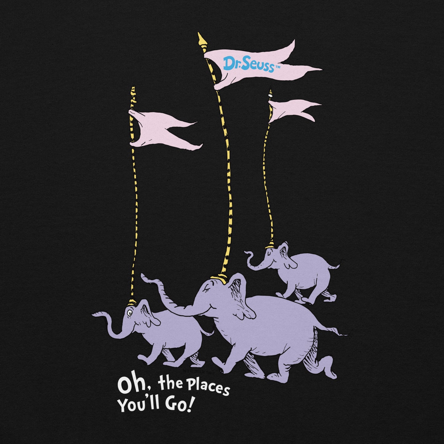 Oh! the Places You'll Go Elephants Personalized Hoodie