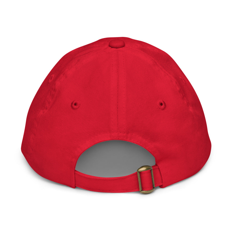 The Cat in the Hat I Know Things Youth Hat